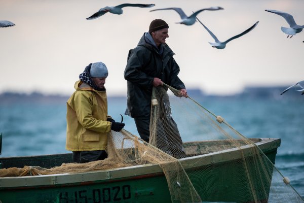 Рыбак забрасывает сеть