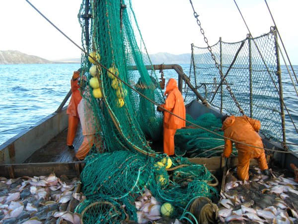 Пушкин Золотая рыбка невод