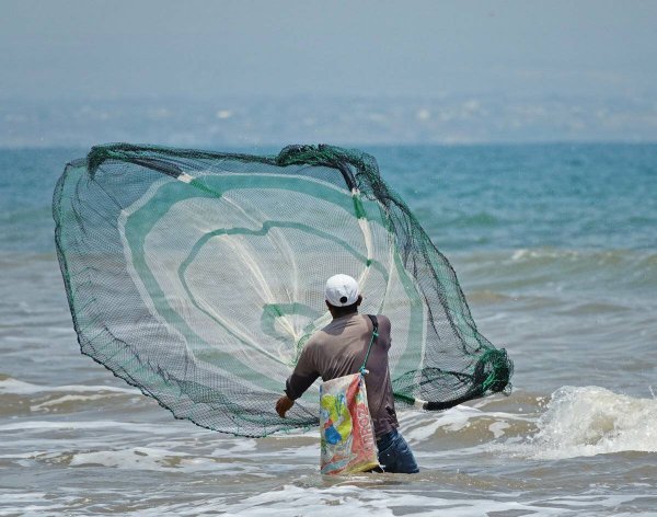 Рыбная ловля сетями