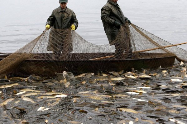Рыбалка неводом