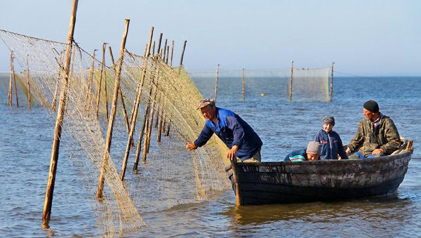 Старик у моря Золотая рыбка