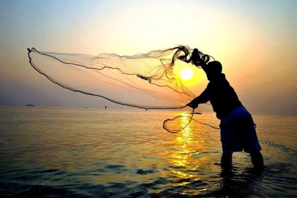 Промышленный лов рыбы