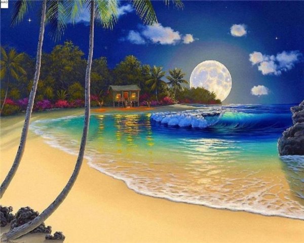 Гавайский художник Джон ол Хогью