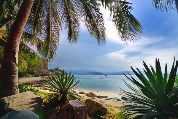 Тропический пейзаж