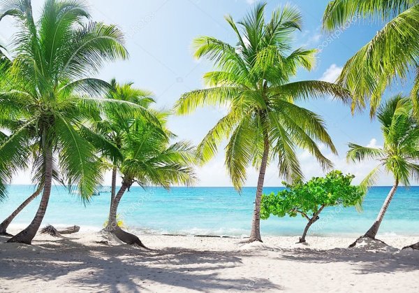 Тропическое море