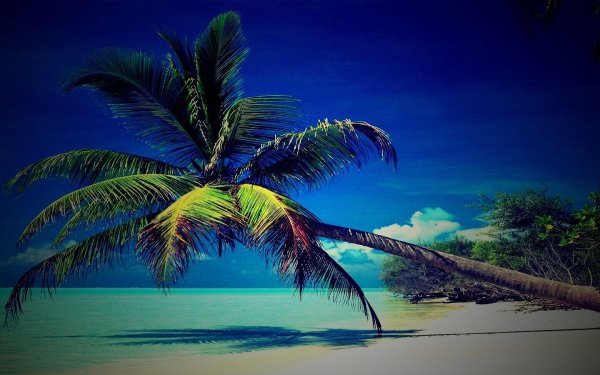 Бора Бора пляж