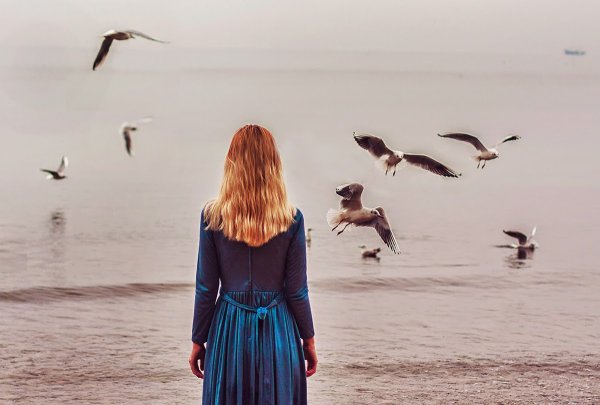 Девушка и Чайки
