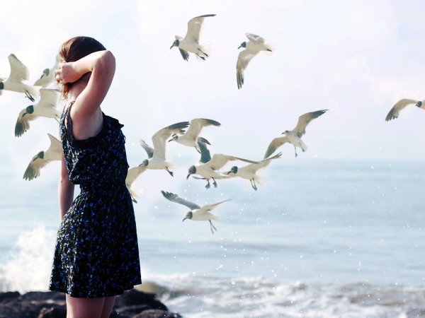 Девушка море Чайки