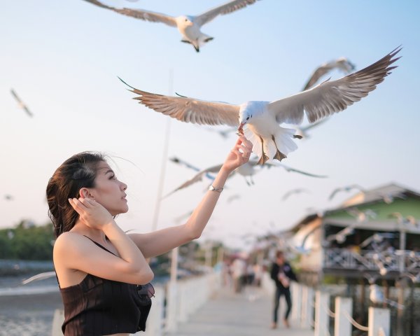 Море Вдохновение