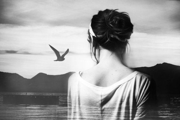 Море, птицы, человек