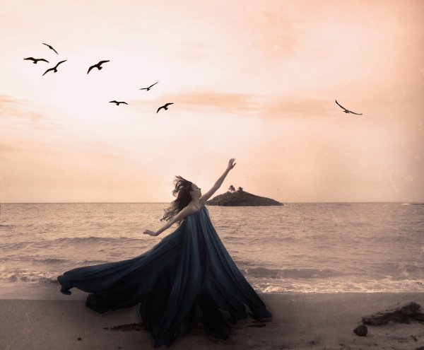 Девушка море Чайки