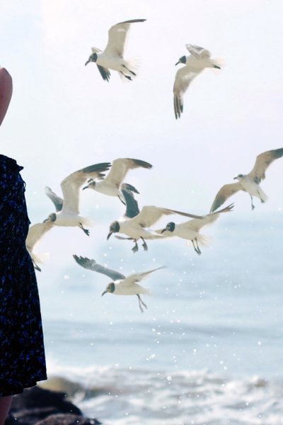 Море птицы девушка