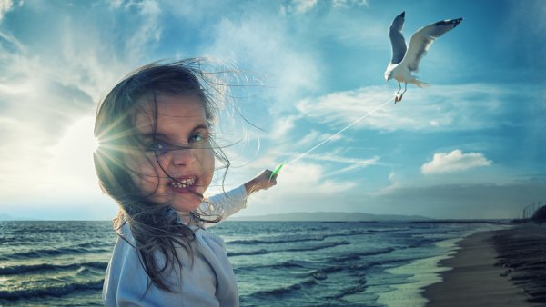 Море птицы девушка