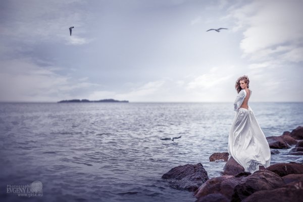 Море птицы девушка