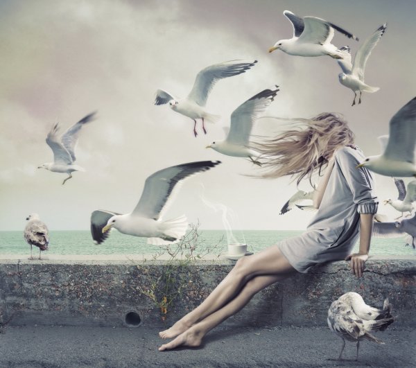 Чайки в небе арт