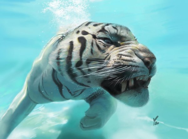 Амурский тигр WWF