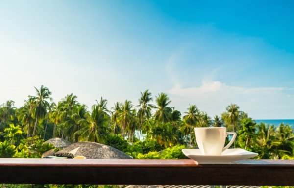 Кофе на фоне пальм