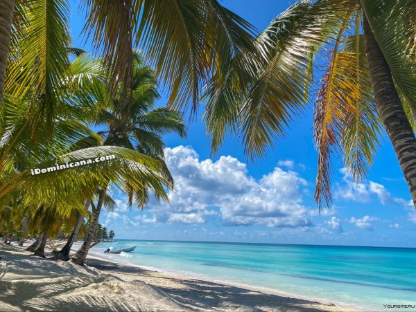 Чашка кофе на берегу моря