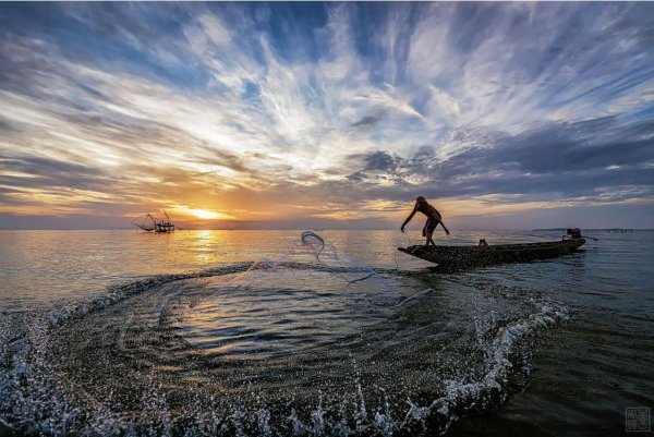 Старик невод сказка Пушкина