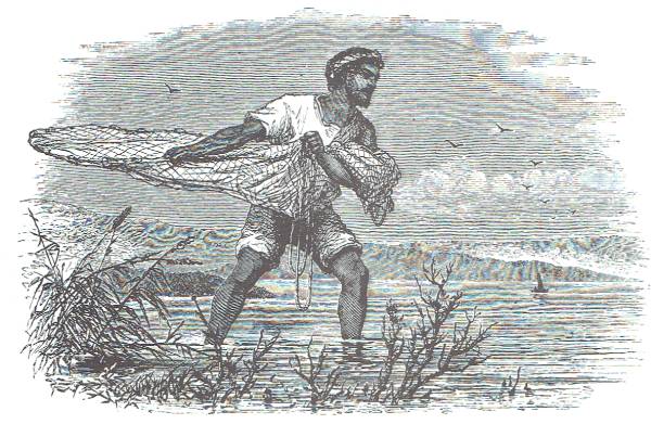 Сеть картинки