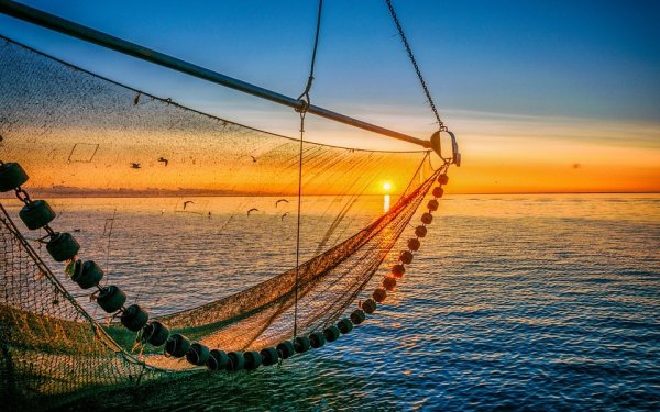 Сказка Пушкина о рыбаке и рыбке