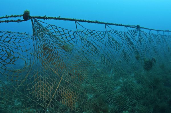 Рыбак с сетью