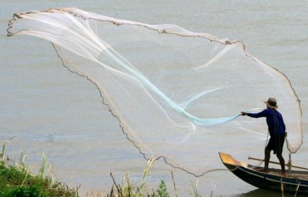 Старик тянет невод