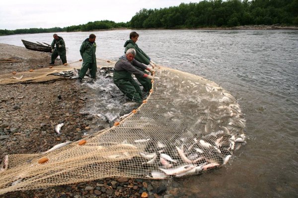 Старик закинул в море невод корыто