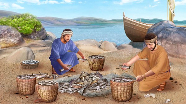 Невод рыболовный