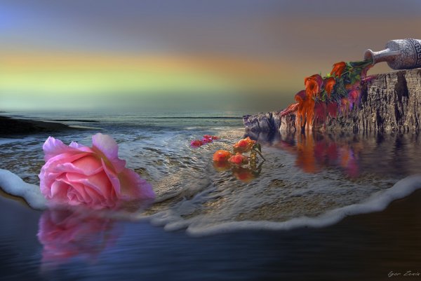 Картинки хочу море цветов (66 фото) » Картинки и статусы про окружающий мир  вокруг