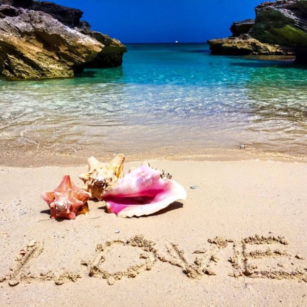 Люблю лето и море