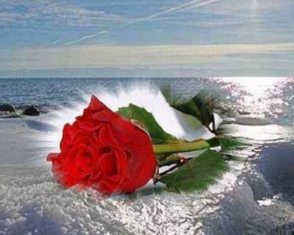 Алые паруса анимация