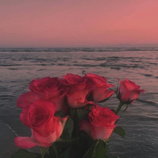 Плюмерии на фоне моря