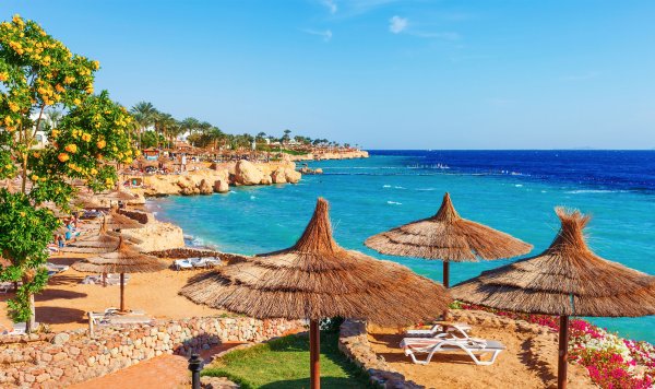 Египет шармаль Шейх море