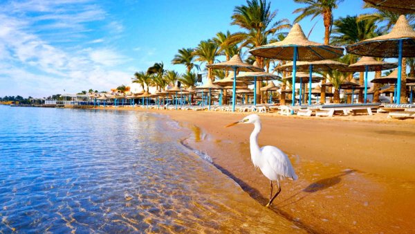 Египет Шарм-Эль-Шейх