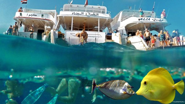 Шарм-Эль-Шейх бассейн