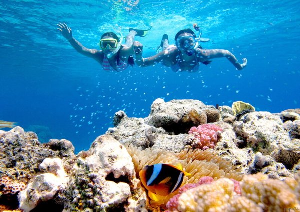 Шарм Эль Шейх туристы пляж