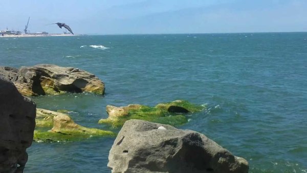 Каспийское море Махачкала пляж