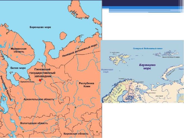 Баренцево море на карте Северного Ледовитого океана