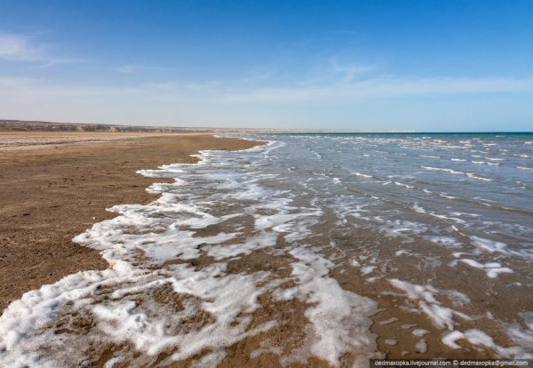 Аральское море Узбекистан