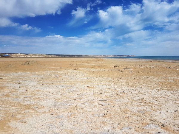 Аральское море Узбекистан