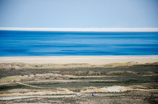 Олейний Аральский море