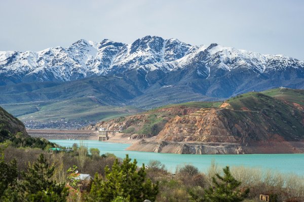 Ташкент горы Чимган