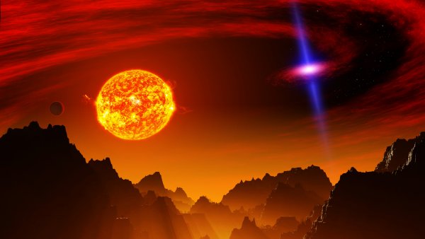 Солнце сквозь листву