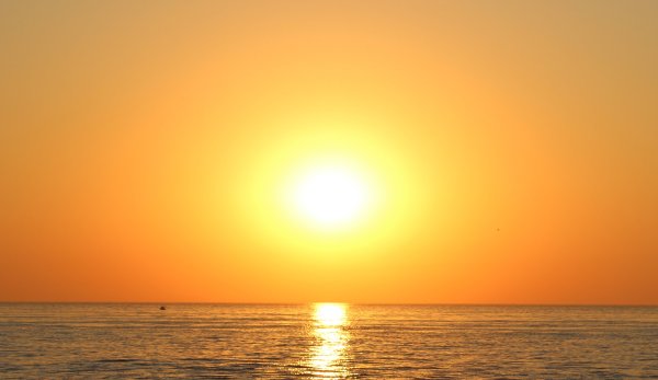 Солнечный день