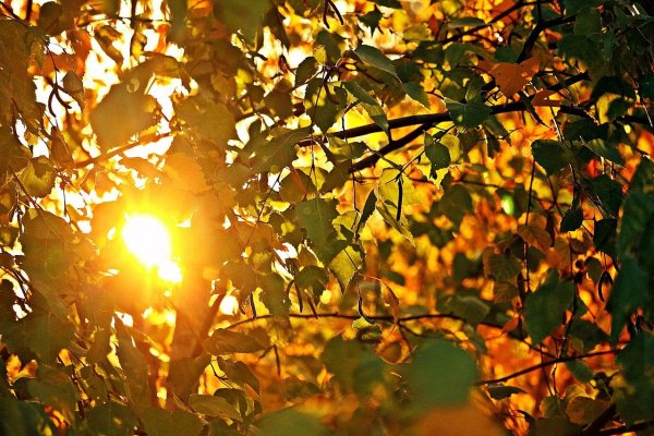 Солнечная осень