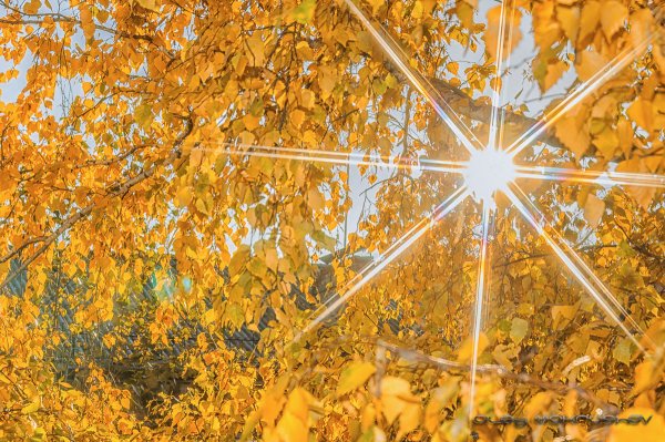 Осенняя природа