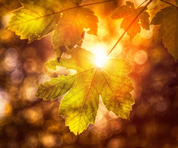 Осень солнце