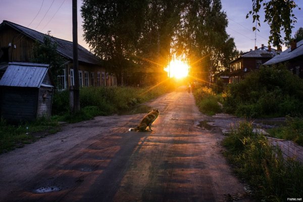 Солнечный вид из окна