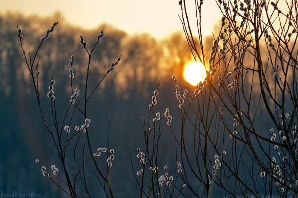 Весна апрель утро солнце